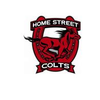 HSMS